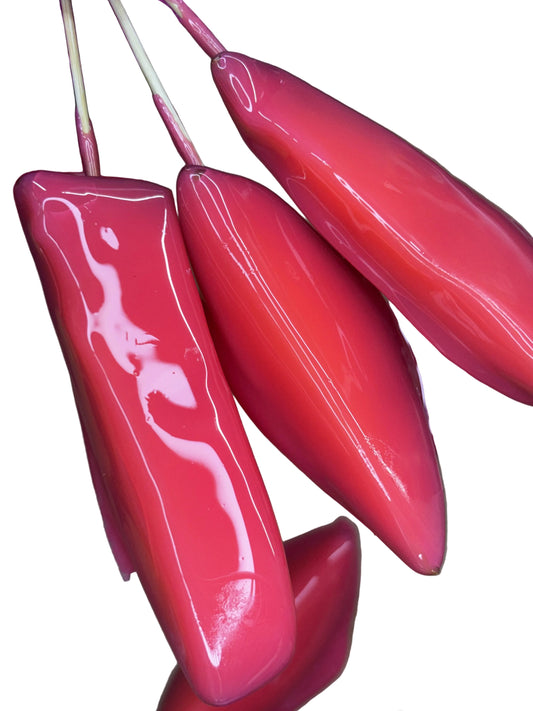 Candy mango slices